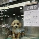 헤아림동물병원 | 24시 리본동물의료센터 후기