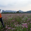 구룡천 이미지
