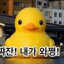 송학강변로 이미지