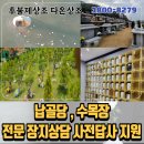 성모공원 이미지