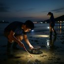 해루질 - 양산시 | 해루질