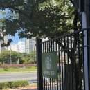 삼호로R | 창원NC파크 스타벅스 테라스 세트 티켓 없이 내돈내산 이용 후기(시야, 원정)