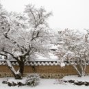 백양사진입로 이미지