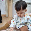 오감면발 이미지