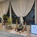 레푸스화곡점 이미지