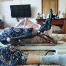 튼튼메디칼 이미지