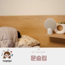 주식회사 웰니스생활 | 불면증 원인 무기력증이나 잠안올때 숙면 잠잘오는법 엠씨스퀘어 문슬립