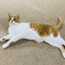 감자와 맛동산 이미지