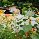 스테이 인 공간 이미지