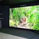 한국아스트로전자 이미지