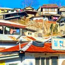 괜히 입소문 난 게 아니다" 5060세대가 먼저 알아본 연간 20만 명 여행지 이미지