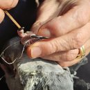 신흥부전 이미지