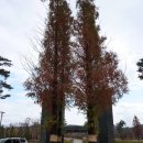 만송1통 이미지