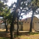 해파랑길 39코스 바우길 05구간 이미지