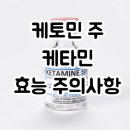 대한약품공업(주) | 케토민 주 케타민 Ketamine 대해 알아보자!(효능 용법 부작용 주의사항 임부 수유부)
