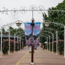 올림픽공원 장미와 양귀비 이미지