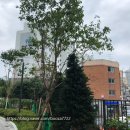 인창공인중개사사무소 이미지