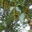 소망민박 이미지