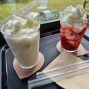 <대관>『벚꽃이 지는날에』 이미지