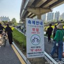 묵동천 | 중랑 중랑천 장미축제 가는 법 개화 상태 축제 현장 후기