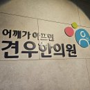 ﻿오른 날개죽지통증 날개뼈통증이 심한 38세 남자 웹툰 작가만 보세요 이미지