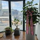 소망인쇄출판사