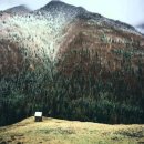 과거,현재,미래 이미지