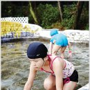 팔딱팔딱 이미지