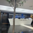 서울밝은안과의원 | [서울밝은세상안과] 렌즈삽입술 후기 ㅣ 초고도근시 난시 ㅣ 수직형 ICL (난시 전용)