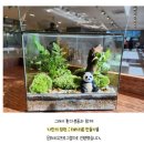 동아대학교대신병원 | 테라리움, 마음을 치유하다: 동아대학교 대신병원에서의 특별한 경험