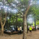 숲속에서 캠핑장 이미지