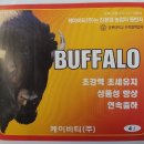 지온컨설팅주 | 애호박 생육 진단 및 관리 요령