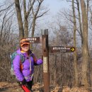 참어울림 이미지