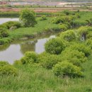 고속도로영산휴게소 이미지