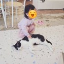 동물보육원고양이후원카페 | 광교 쥬데이 두돌아기랑 | 고양이·소동물 만지는 카페 솔직 후기
