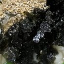 명문칼국수 티스토리
