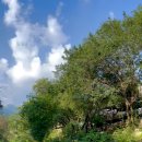 가든테라피펜션 이미지