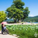 두물머리화장실(상춘원 옆) 이미지