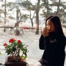 소연필름