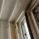 덕일한마음크리닝 이미지