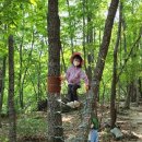 원동초등학교 이천분교장 병설유치원 | [안산교육신문]경남 양산 원동초이천분교장병설유치원‘숲 체험 생태놀이’실시