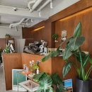 오버릿(OVERLIT) 이미지