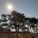 팔음산마을 이미지