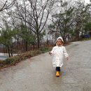 정원민박 이미지