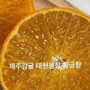 태현농장 이미지