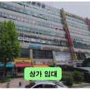 폴리프라자1 이미지