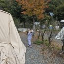 비타민 팜 오토캠핑장 이미지