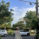 함덕 화산송이 펜션 이미지