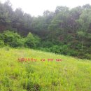 화천농장 이미지