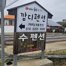 비타민C펜션 네이버블로그